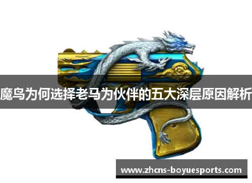 魔鸟为何选择老马为伙伴的五大深层原因解析 魔鸟为何选择老马为伙伴的五大深层原因解析