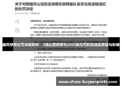 魏震禁赛处罚深度解析：3场比赛禁赛与2000美元罚款的背后原因与影响